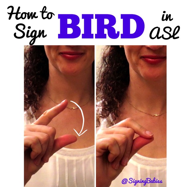 Processed with Rookie