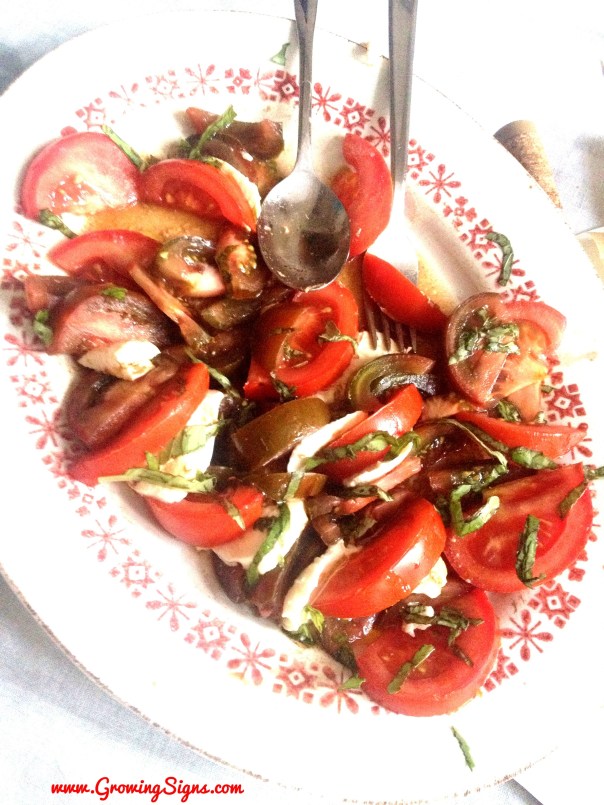 Processed with Rookie