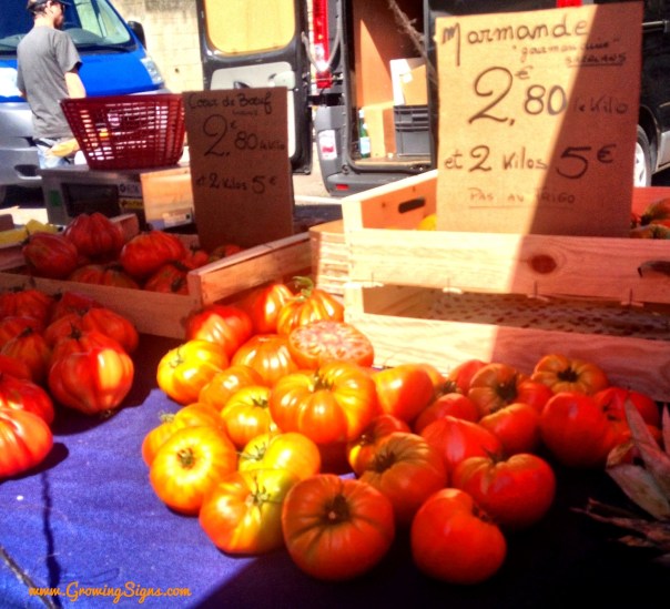 Processed with Rookie