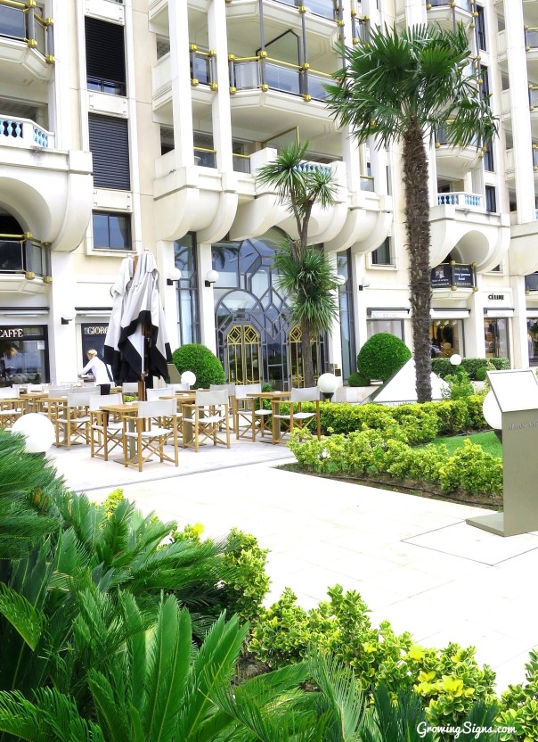 Processed with Rookie