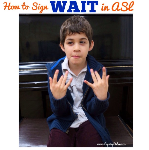 How to sign WAIT in American Sign Language (www.signingbabies.ca)