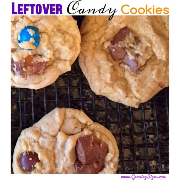 Leftover Candy Cookies by growingsigns.com