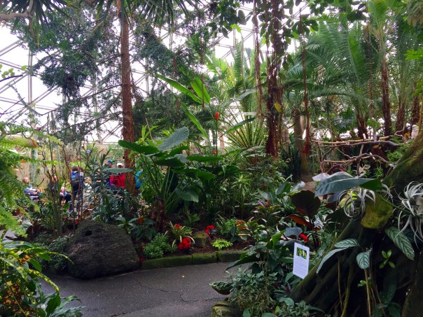 Inside Bloedel Conservatory --www.growingsigns.com