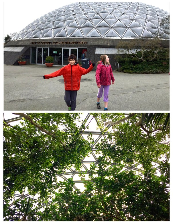 Processed with Rookie Cam